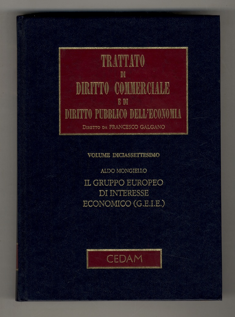Il gruppo europeo di interesse economico. (G.E.I.E.).