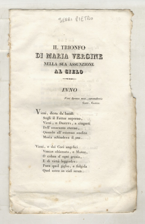 Il trionfo di Maria vergine nella sua assunzione al cielo. …