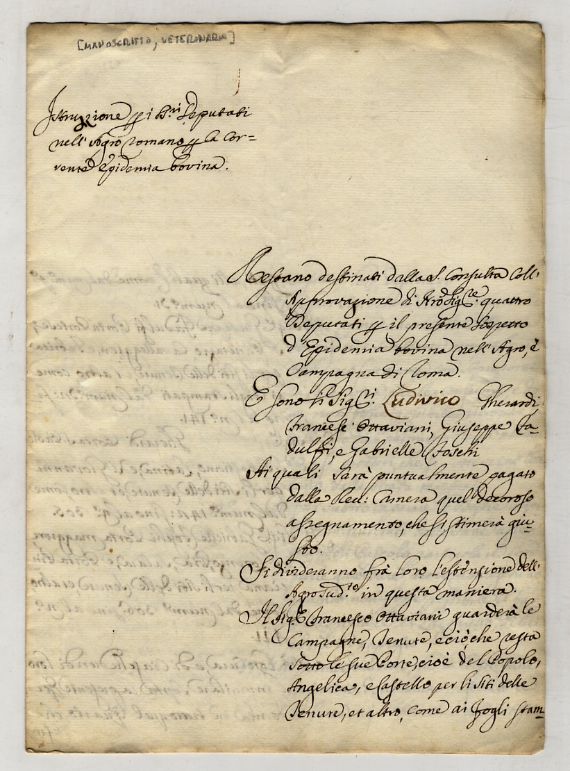 Istruzione dei SS.ri Deputati nell'agro romano per la corrente epidemia …