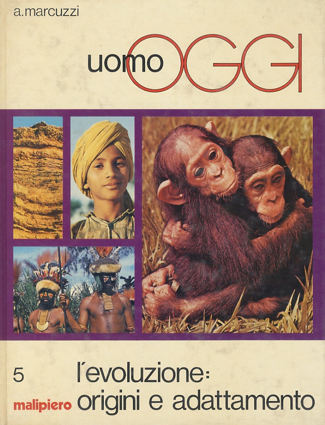 L'evoluzione: origini e adattamento.