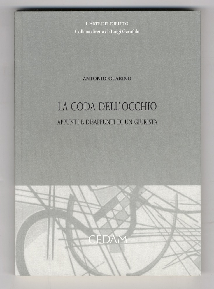 La coda dell'occhio. Appunti e disappunti di un giurista.