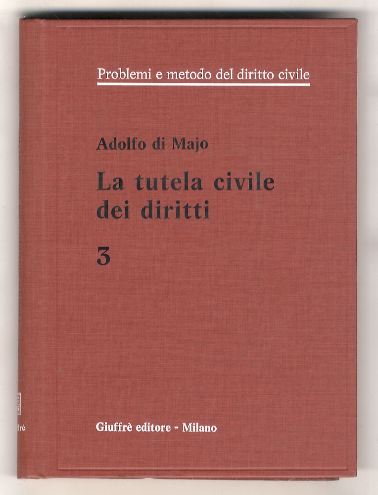 La tutela civile dei diritti.