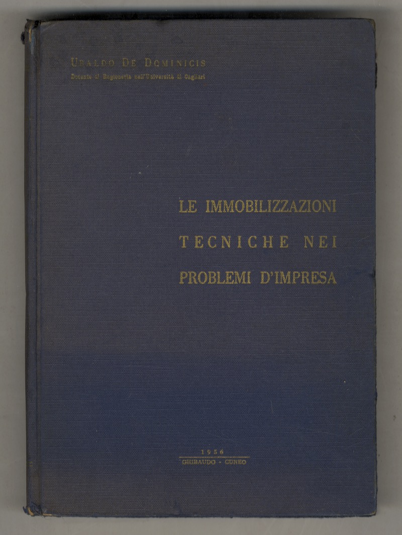 Le immobilizzazioni tecniche nei problemi d'impresa.
