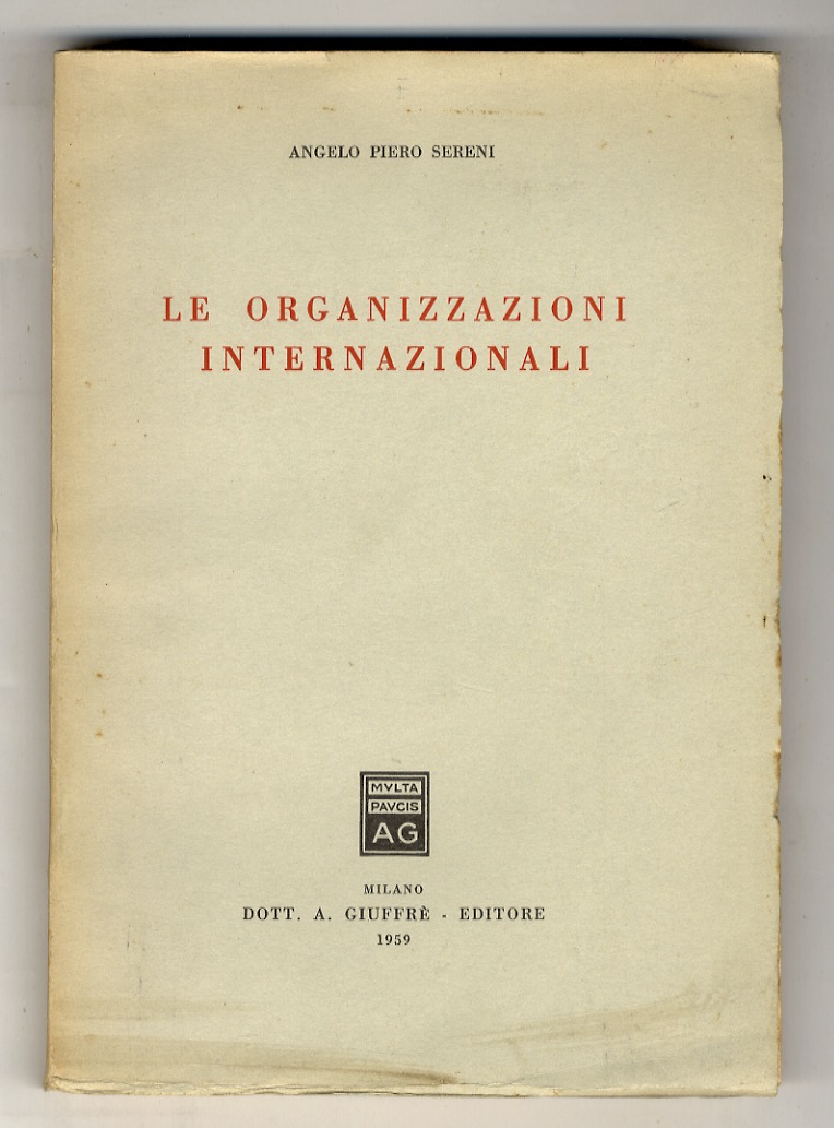 Le organizzazioni internazionali.