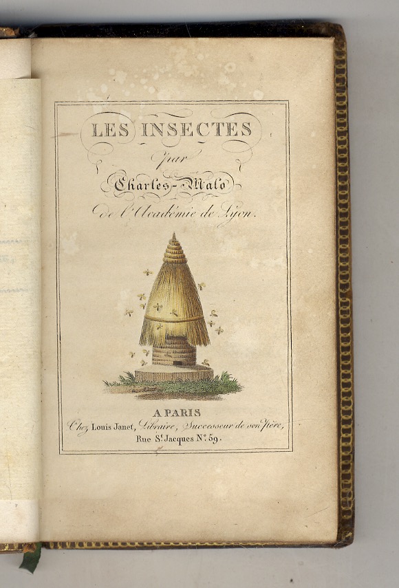 Les insectes.