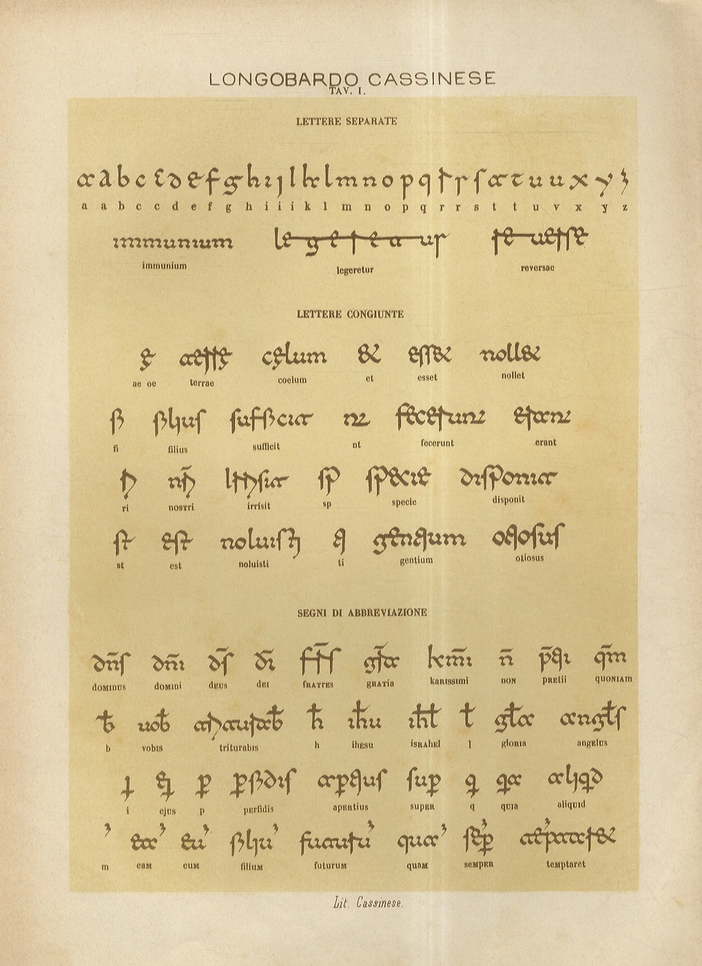 LONGOBARDO Cassinese. (Tavole I, II, IV-VII, XXXVII, XXXIX, XLIII, XLV).