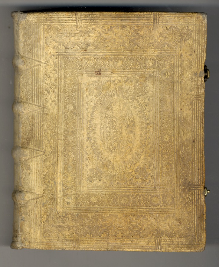 Magnum matrimonii sacramentum casibus practicis expositum, juxta principia theologiae moralis …