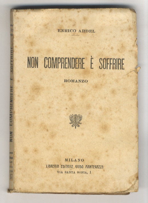 Non comprendere è soffrire. Romanzo.