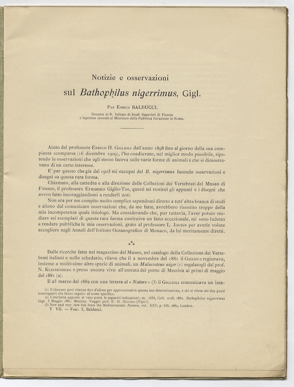 Notizie e osservazioni sul Bathophilus nigerrimus, Giglioli.