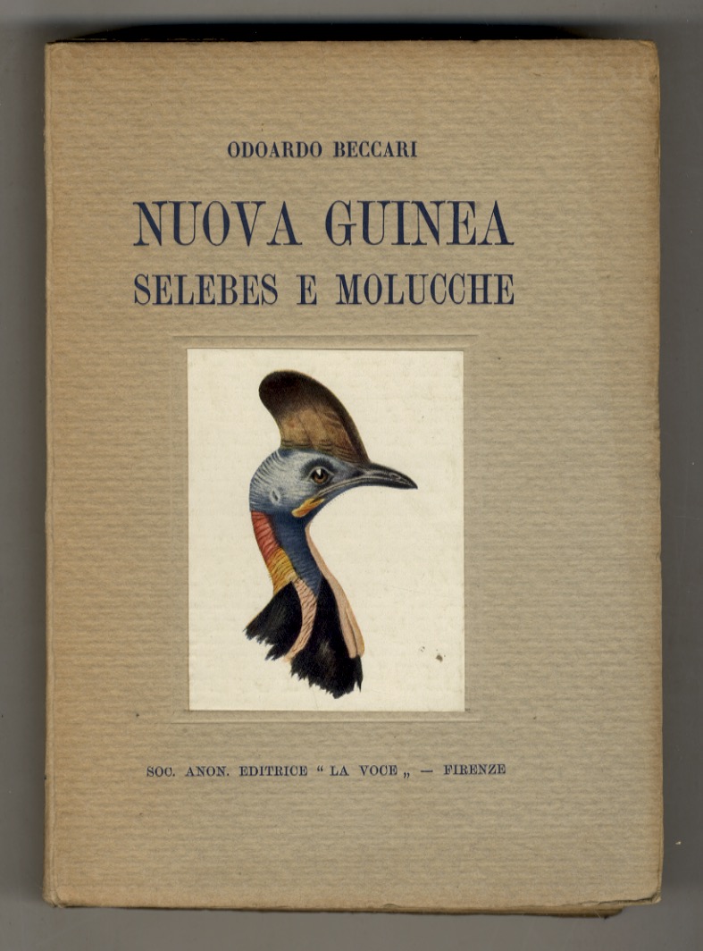 Nuova Guinea, Selebes e Molucche. Diarii di viaggio ordinati dal …