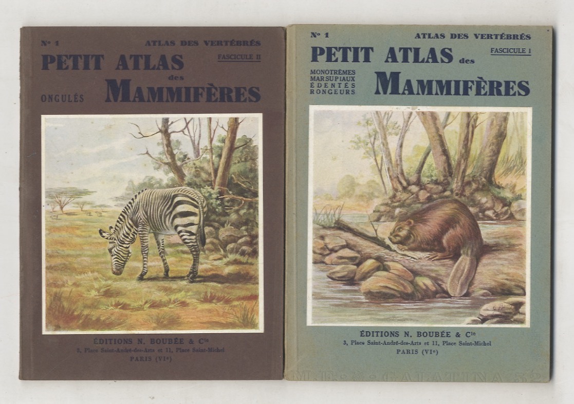 Petit Atlas des mammifères. (I. Monotrèmes, marsupiaux, édentés, rongeurs - …