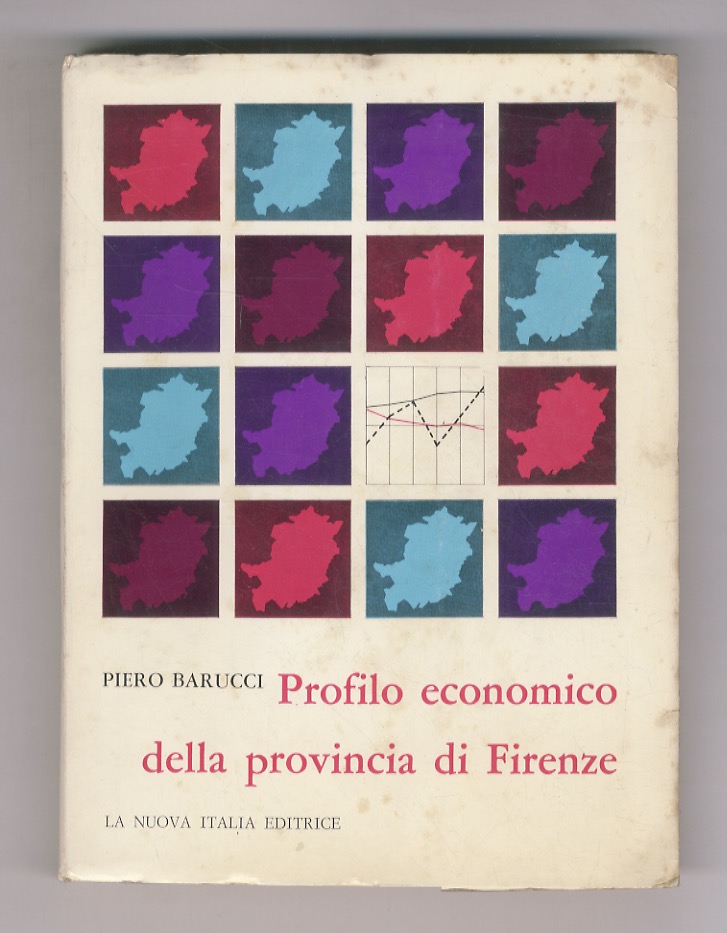 Profilo economico della provincia di Firenze. Prefazione di Alberto Bertolino.
