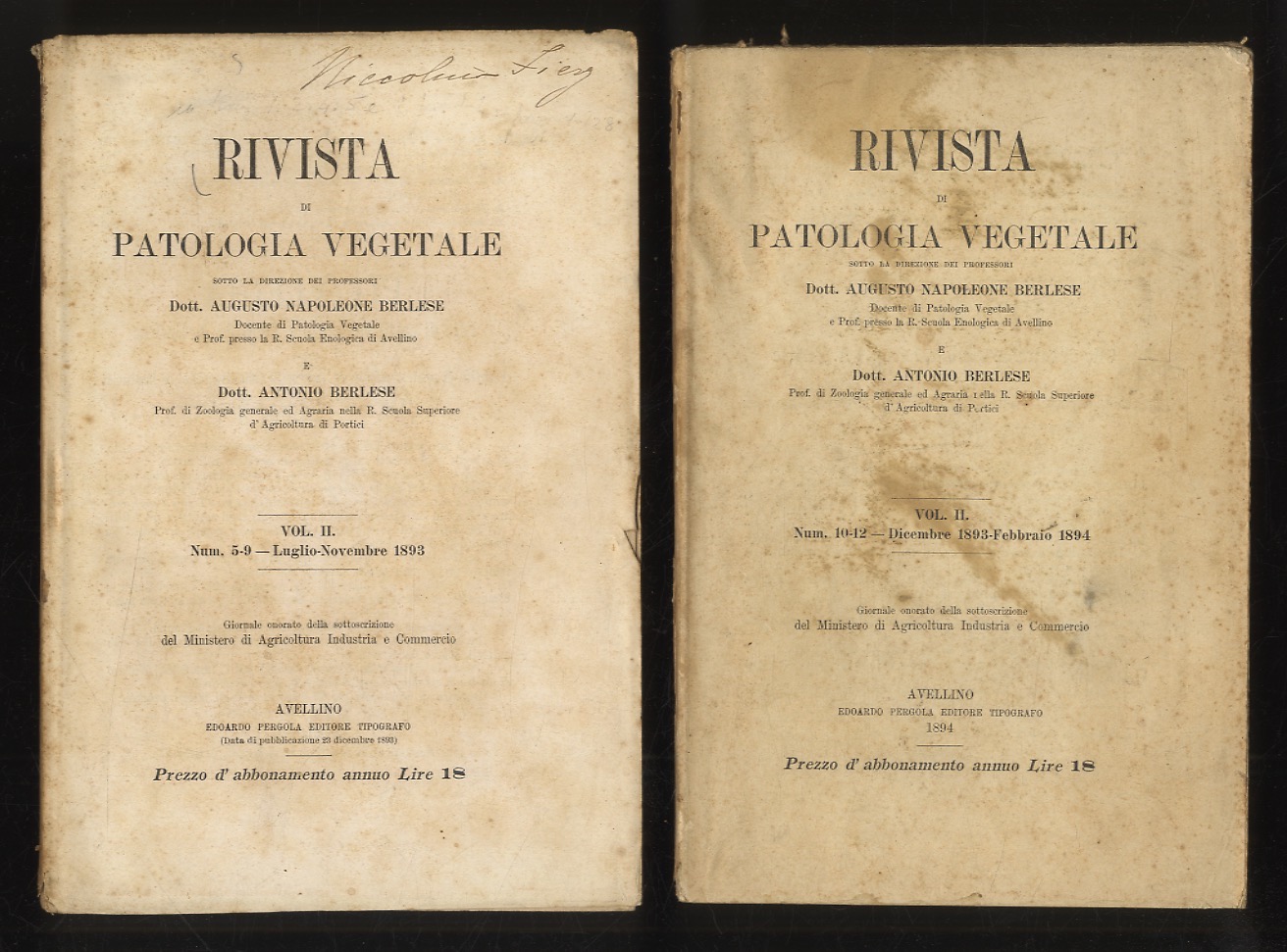 RIVISTA di patologia vegetale, sotto la direzione dei proff. Dott. …