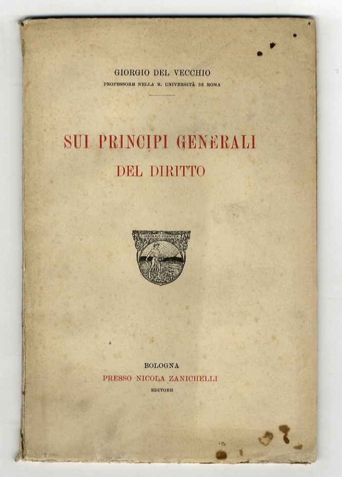 Sui principi generali del diritto.