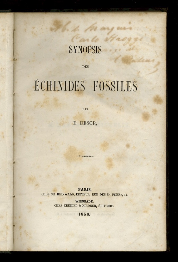 Synopsis des échinides fossiles.