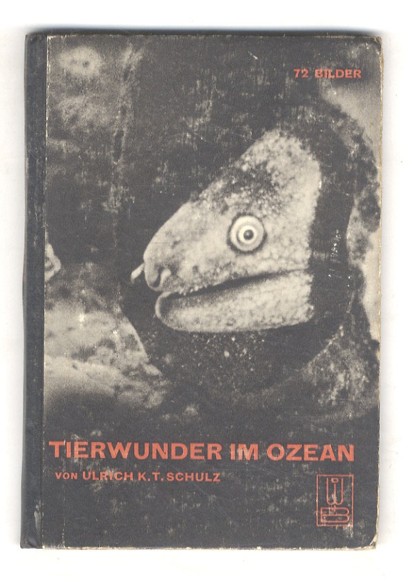 Tierwunder im Ozean.