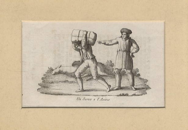 Un servo e l'Asino. (Scena in cui un giovane servo …