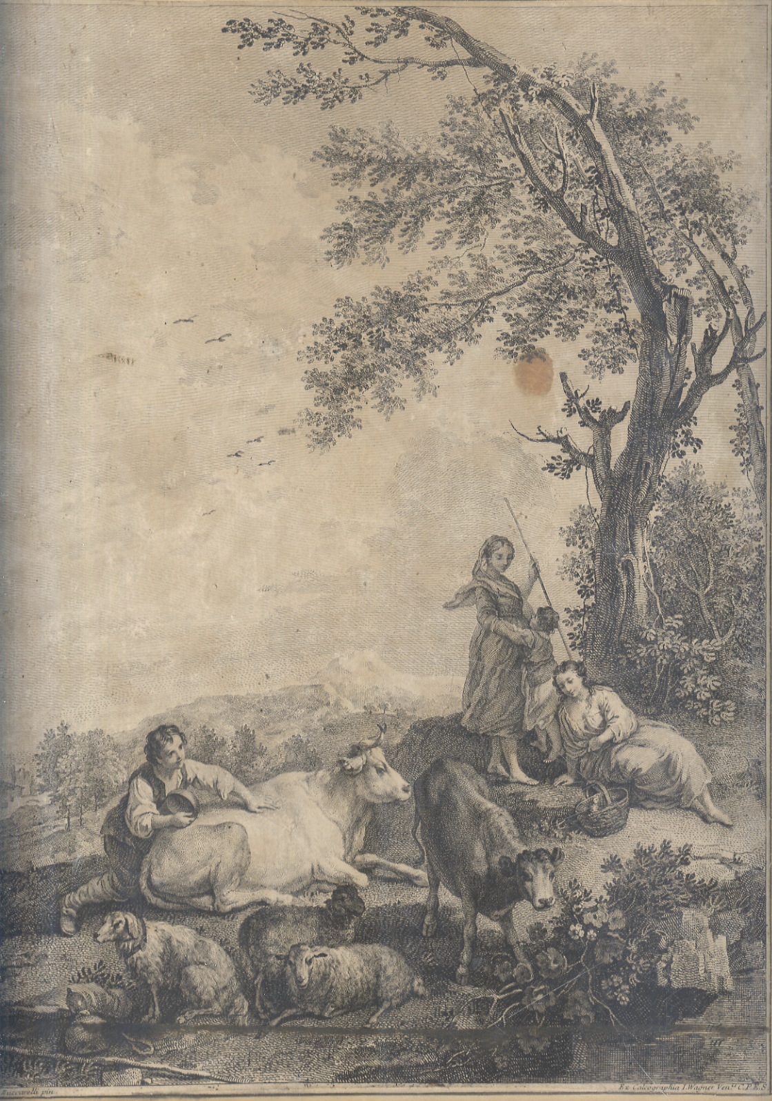 [Vedi scherzar colla sua Madre il Figlio / cogli Armenti …