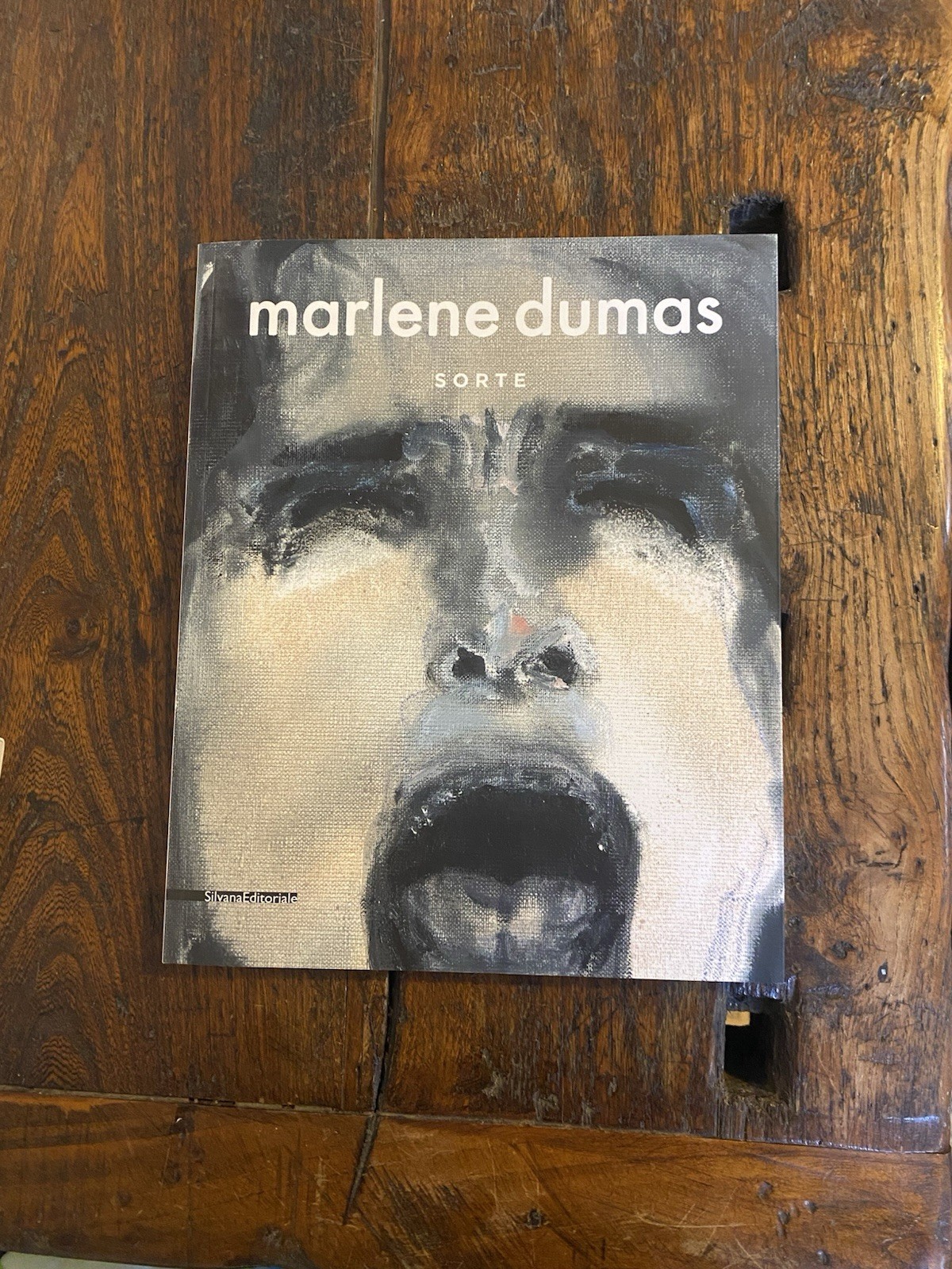 AA.VV. Marlene Dumas Sorte Milano Silvana 2012