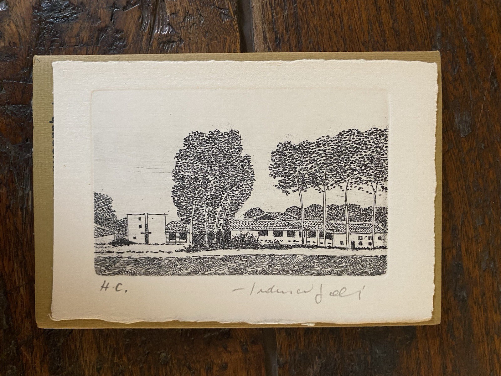 Autografato Galli Federica De Pisis Reggio Emilia Galleria La scaletta …