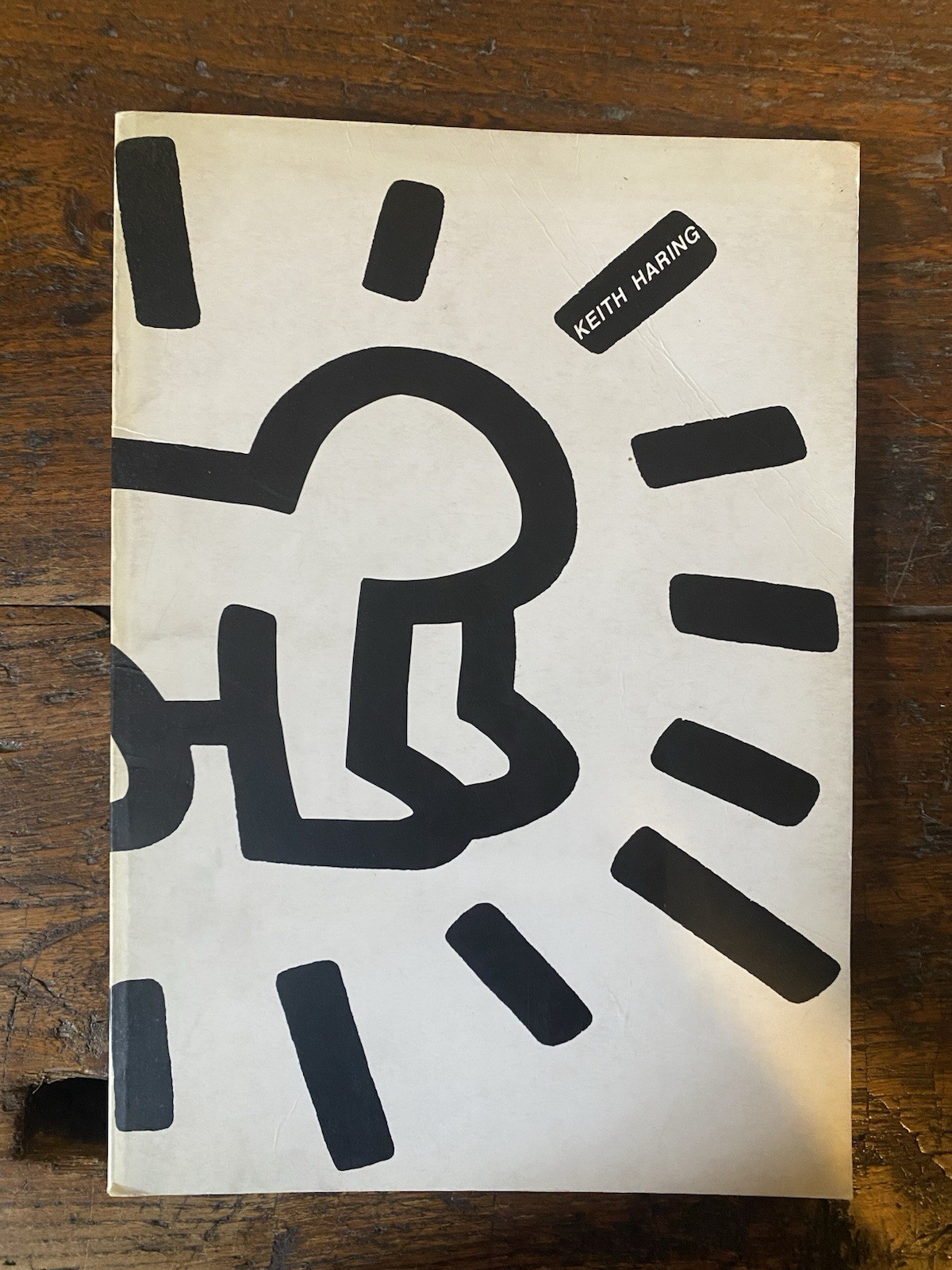 Barbero Luca Massimo Keith Haring Verona Galleria Cinguetti 1994