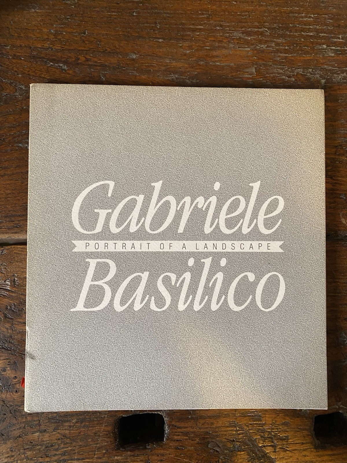 Basilico Gabriele Portrait a Landascape New York Philippe Daverio 1988
