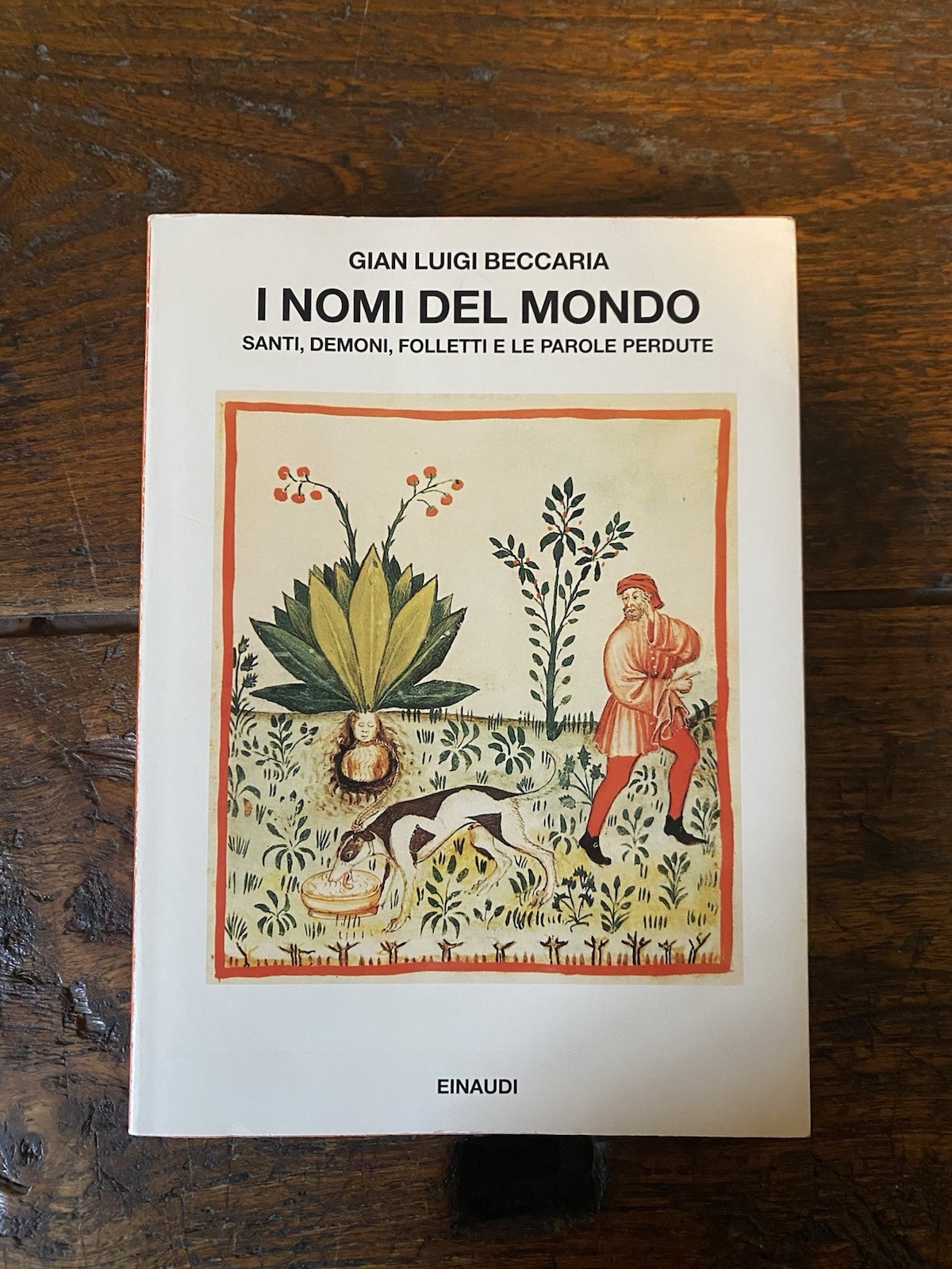 Beccaria Gian Luigi I nomi del mondo Torino Einaudi 1995