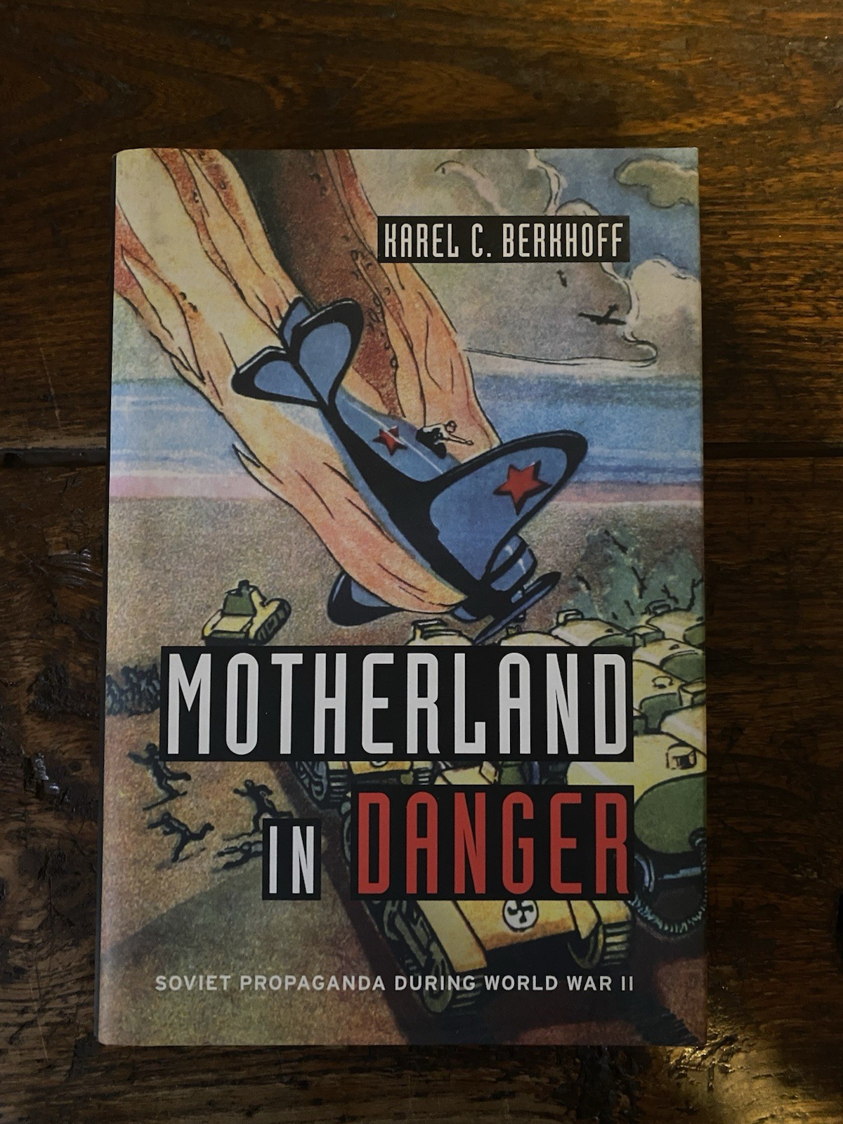 Berhhoff Harel C. Motherland in Danger Harvard College 2012