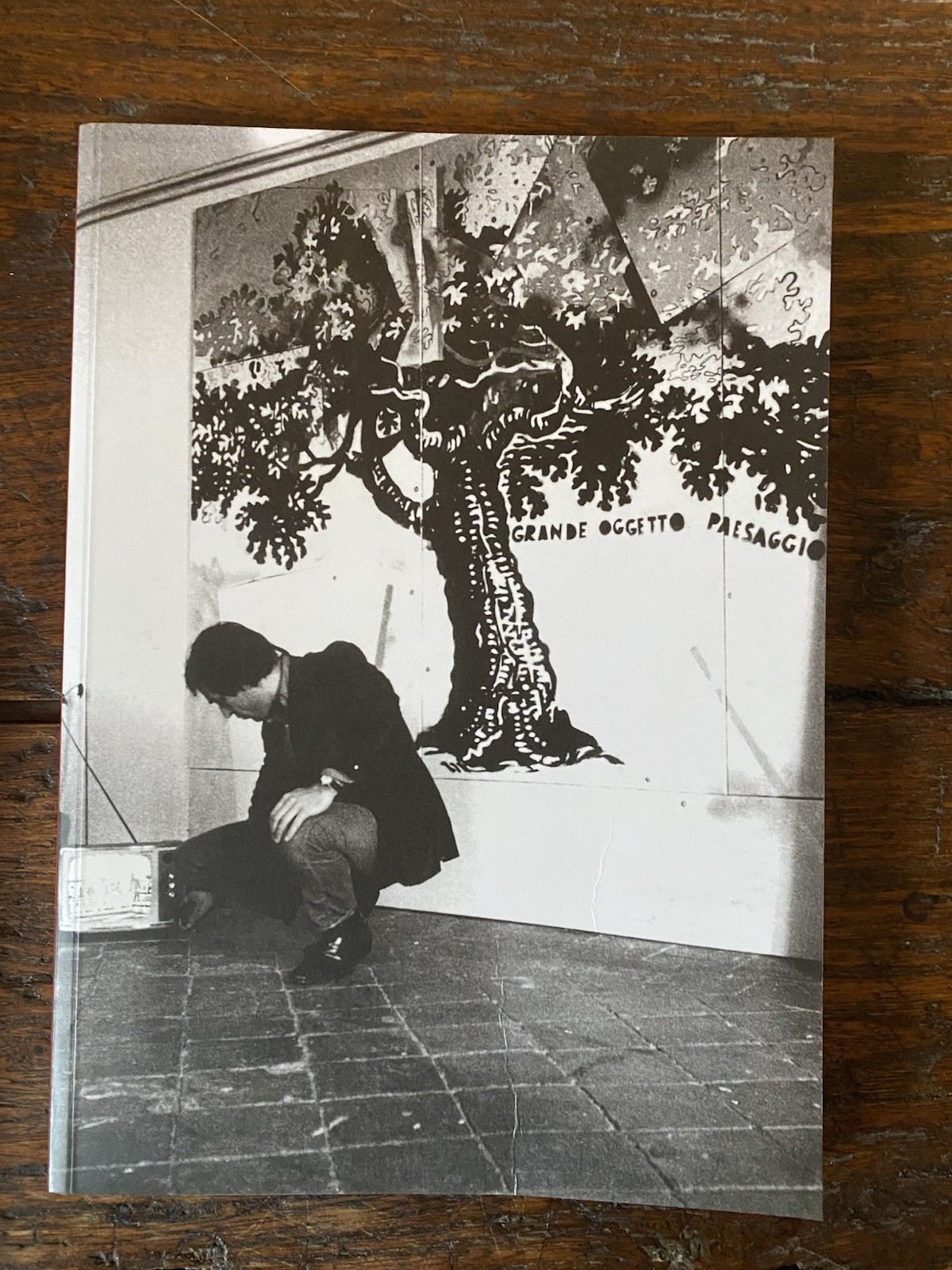 Cherubini Laura a cura di, Mario Schifano 1960-1965 Milano Galleria …