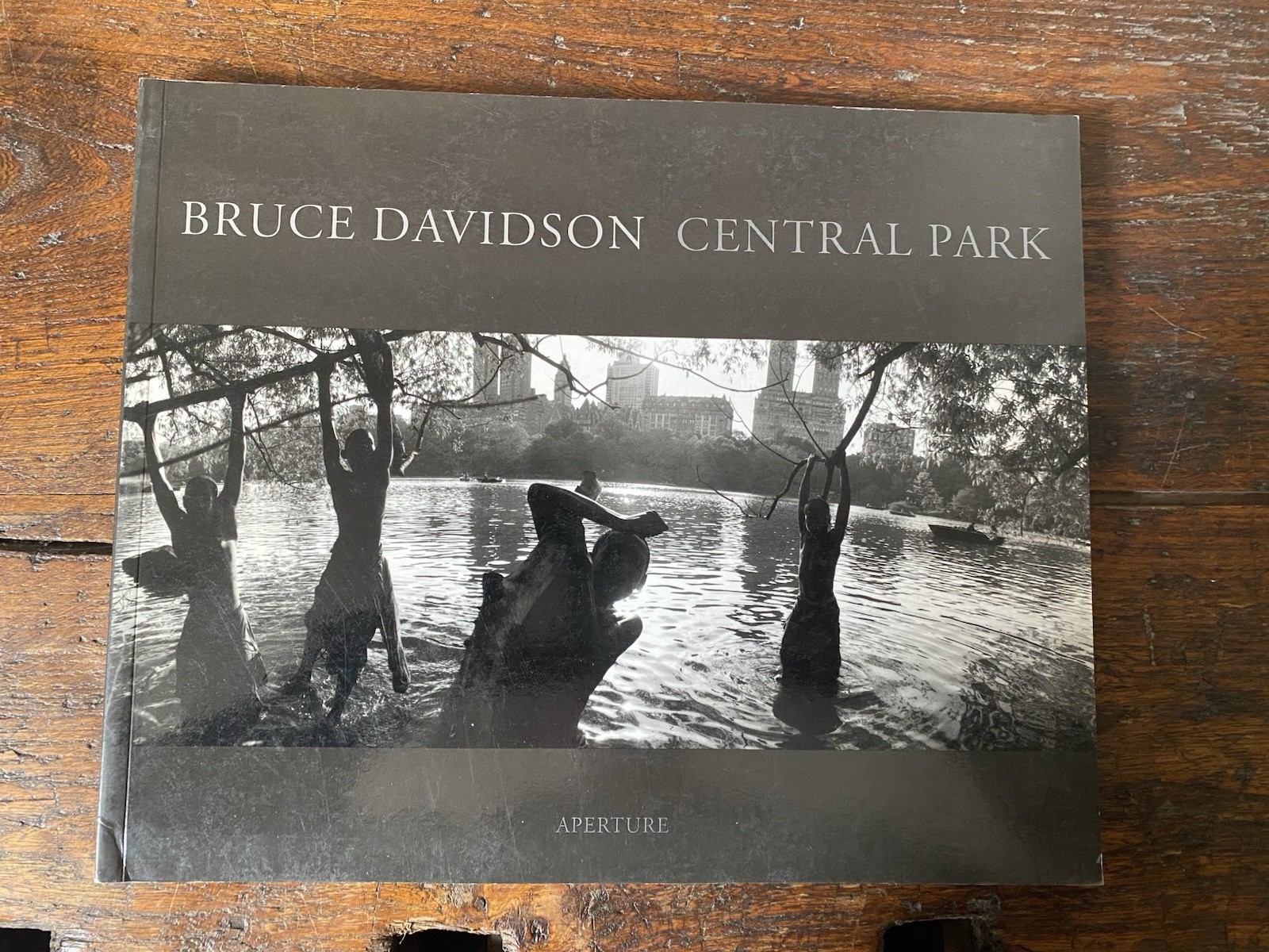 Davidson Bruce Central Park New York Aperture 1995