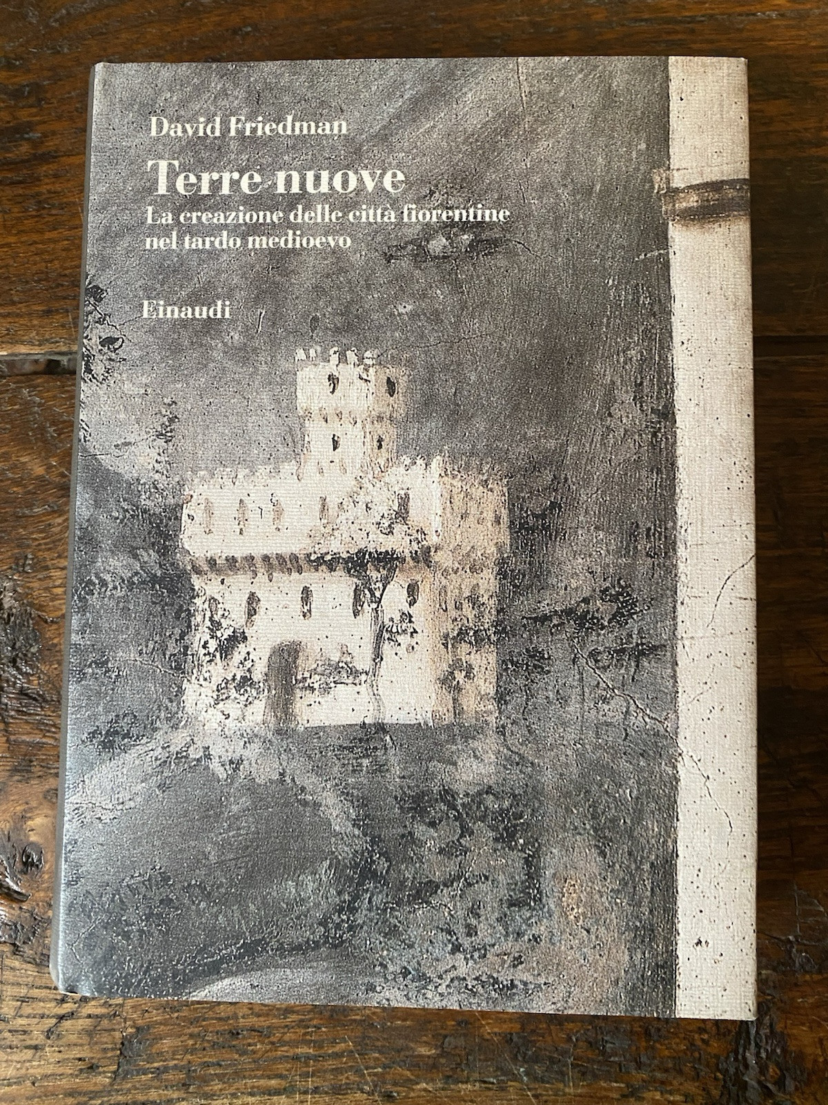 Friedman David Terre nuove Torino Einaudi 1996