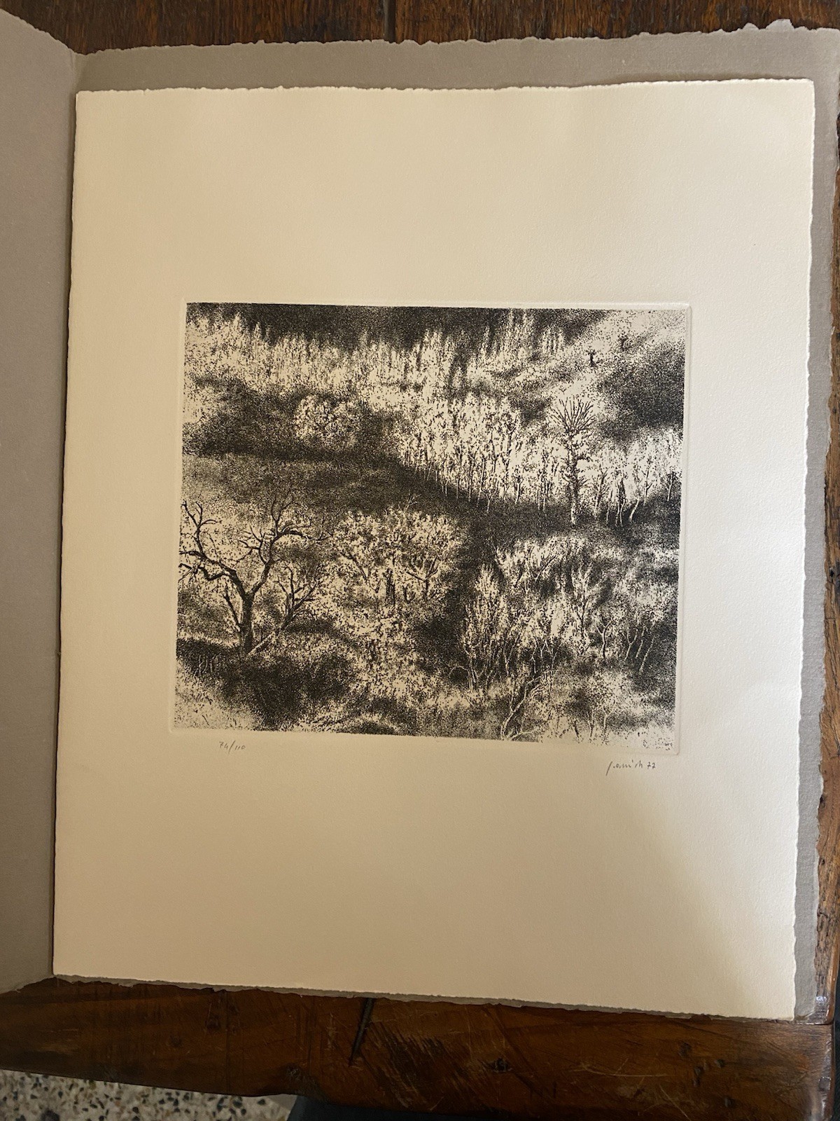 Janich Edo acquaforte originale 39 x 32 cm. Milano Sciardelli …