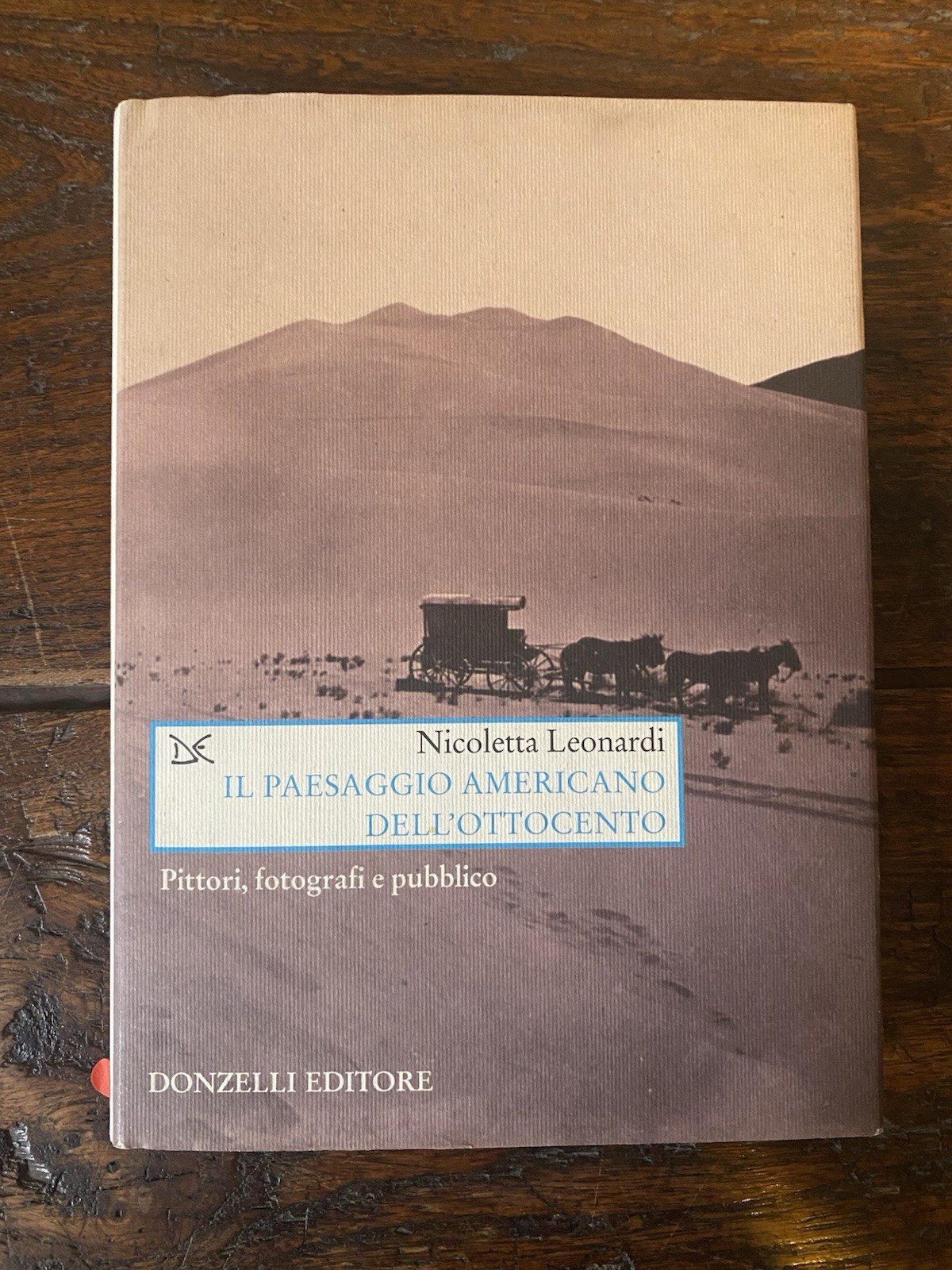 Leonardi Nicoletta Il paesaggio americano dell'Ottocento Roma Donzelli 2003