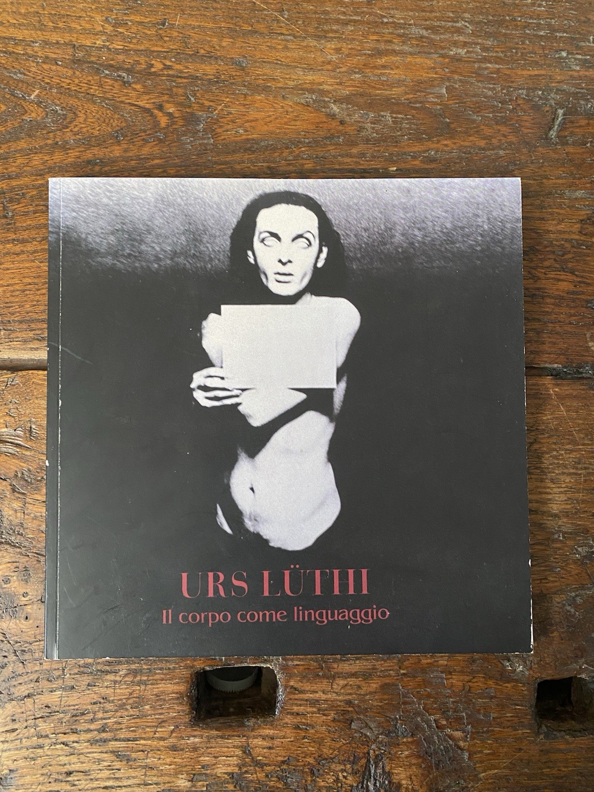Luthi Urs Il corpo e il linguaggio Roma Galleria Delloro …