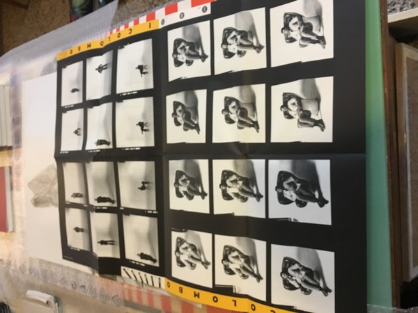 Manifesto / Poster 83 x 59 cm. dell'Esposizione I Colombo …