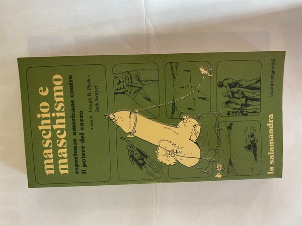 Maschio e maschismo esperienze amaricane contro il potere del cazzo