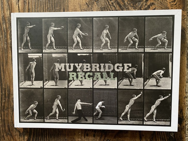 Muybridge Recall