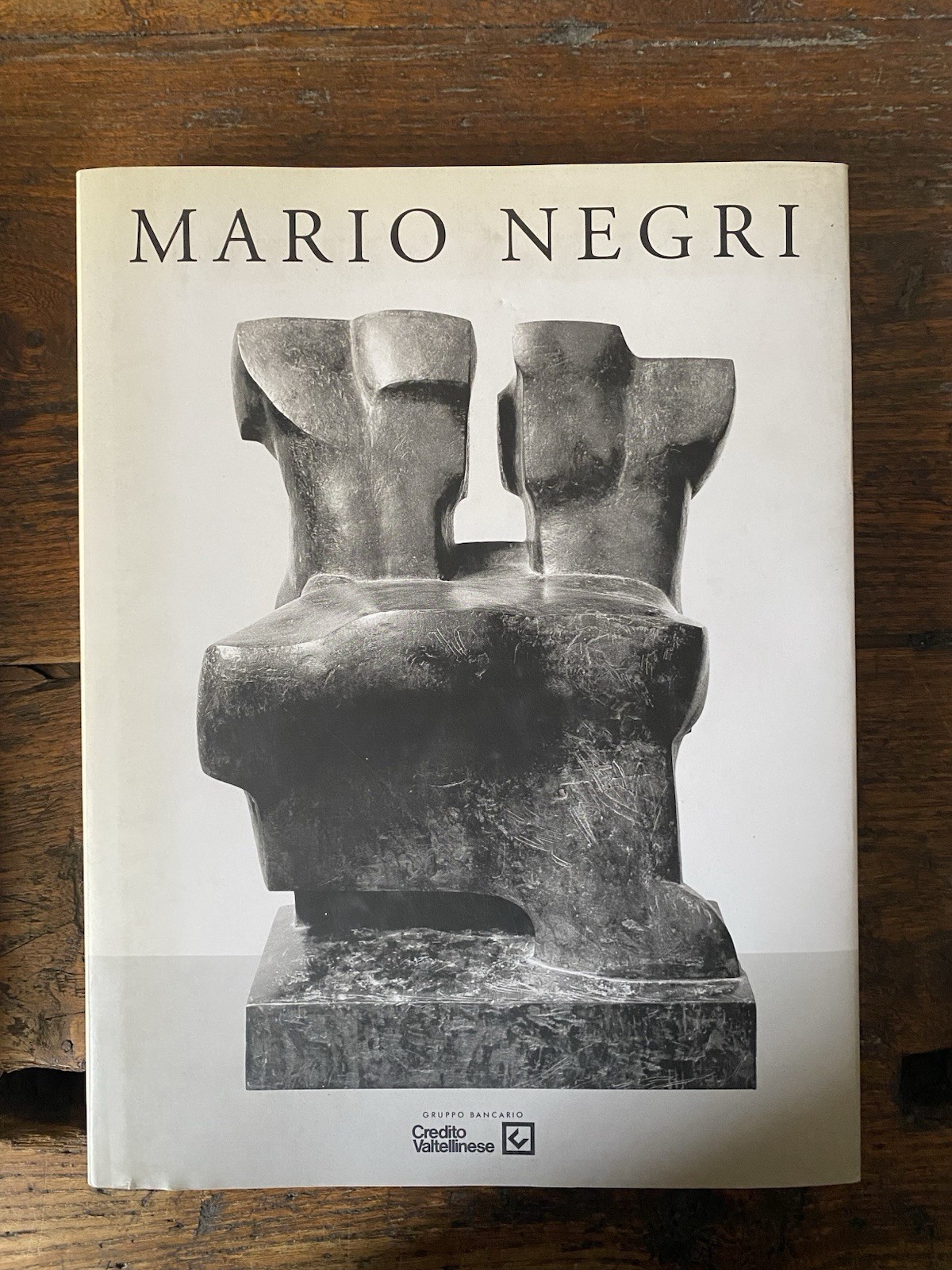 Negri Mario Catalogo delle sculture Milano Credito Valtellinese 1995