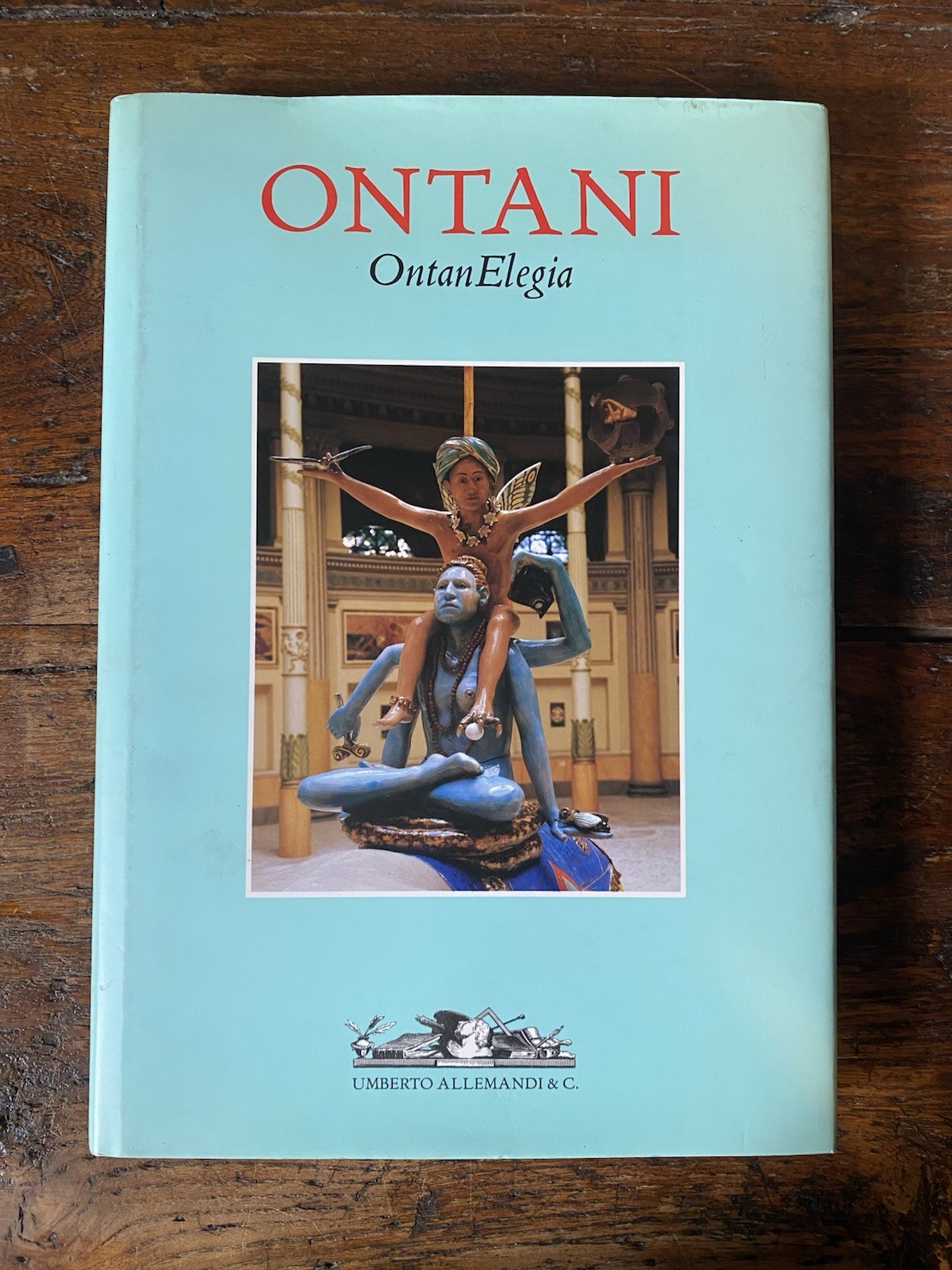 Ontani Luigi OntanElegia Torino Allemandi 2004