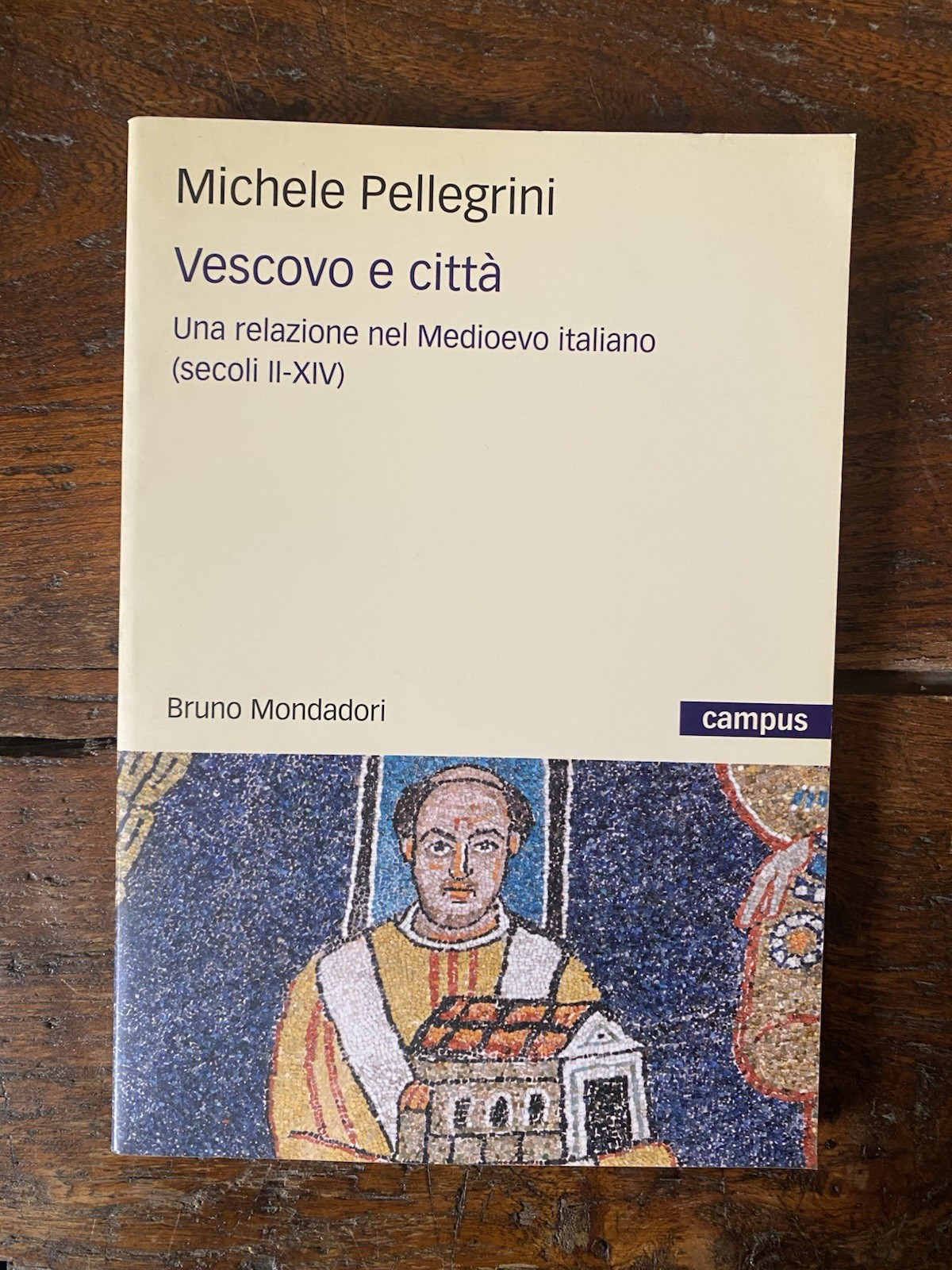 Pellegrini Michele Vesovo e città Milano Mondadori 2009