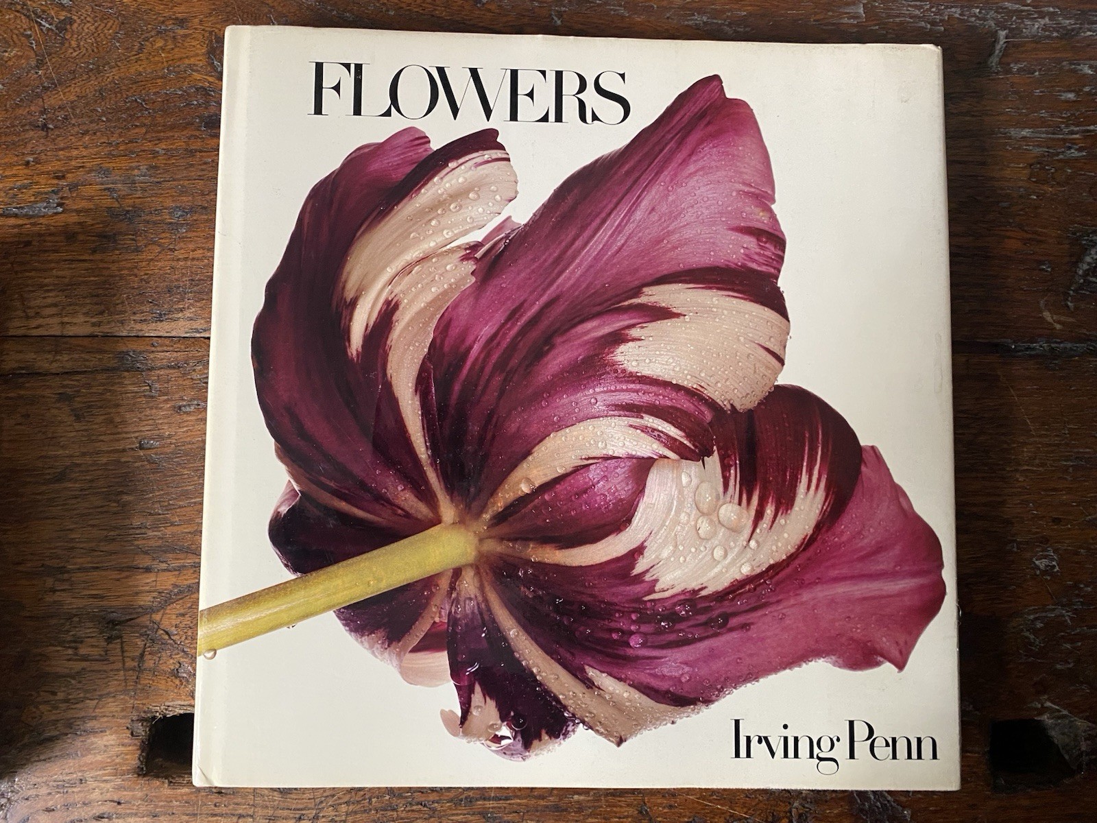 Penn Irving Flowers New York Harmony Books 1980