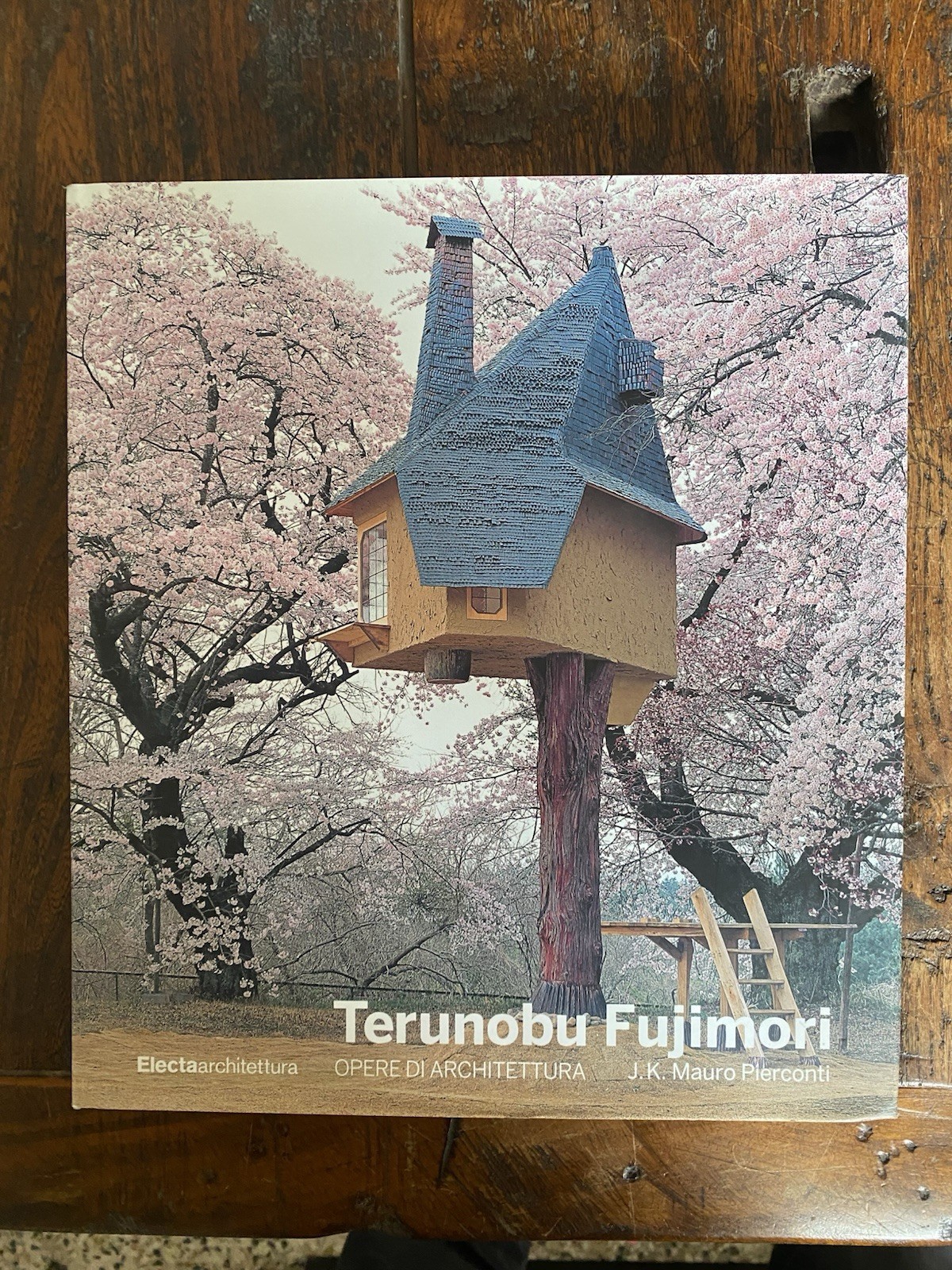 Pierconti Mauro j. K. Terunobu Fujimori Napoli Electa 2019