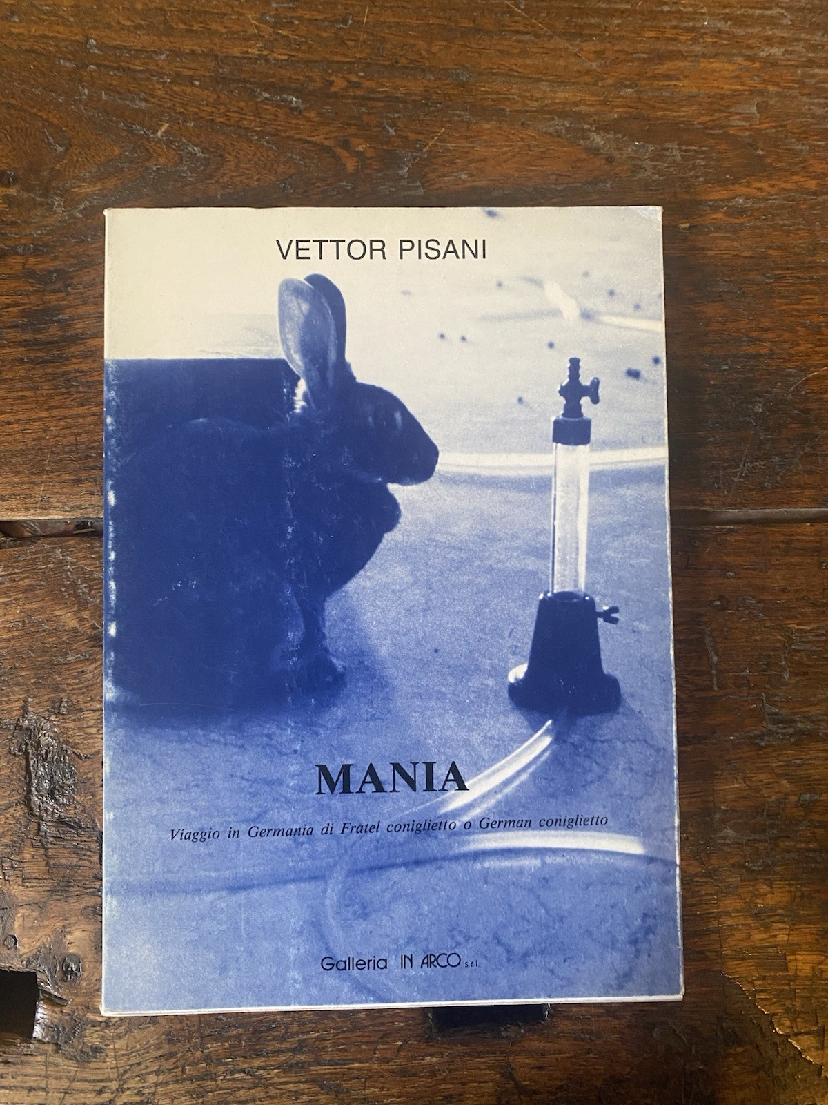 Pisani Vettor Mania Torino Galleria in Arco 1990