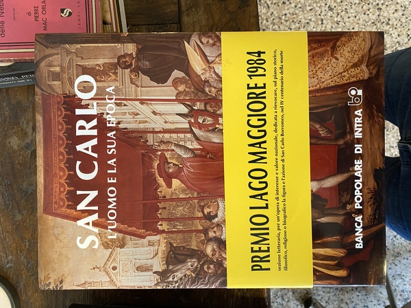 San Carlo L'uomo e la sua opera