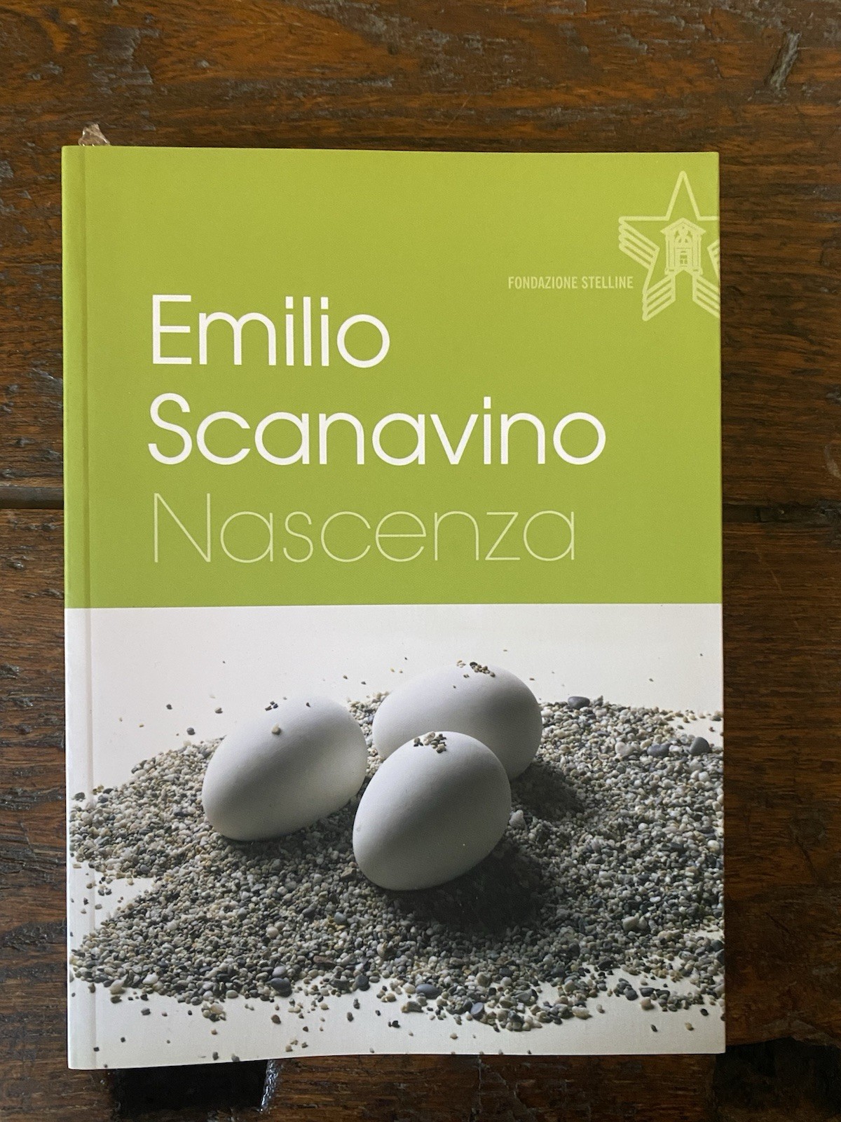 Scanavino Emilio Nascenza Milano Fondazione Stelline 2014