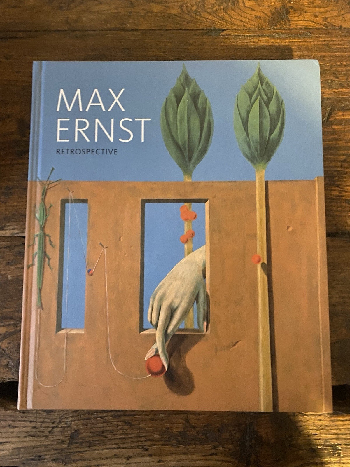 Soies Werner Drost Julia Max Ernst Retrospective Cantz Fondation Beyeler …