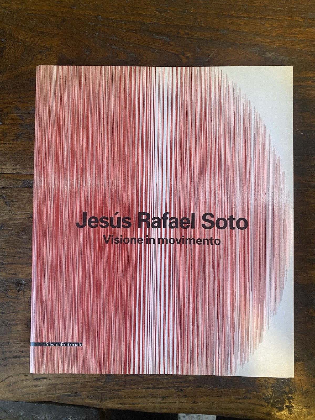 Soto Jesus Rafael Visione in movimento / Vision in Motion …