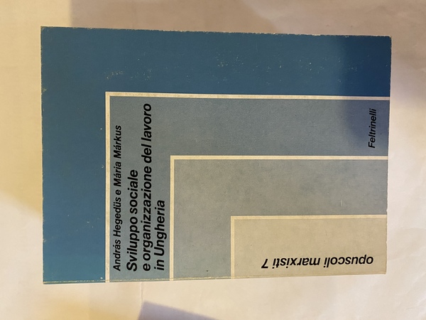 Sviluppo sociale e organizzazione del lavoro in Ungheria