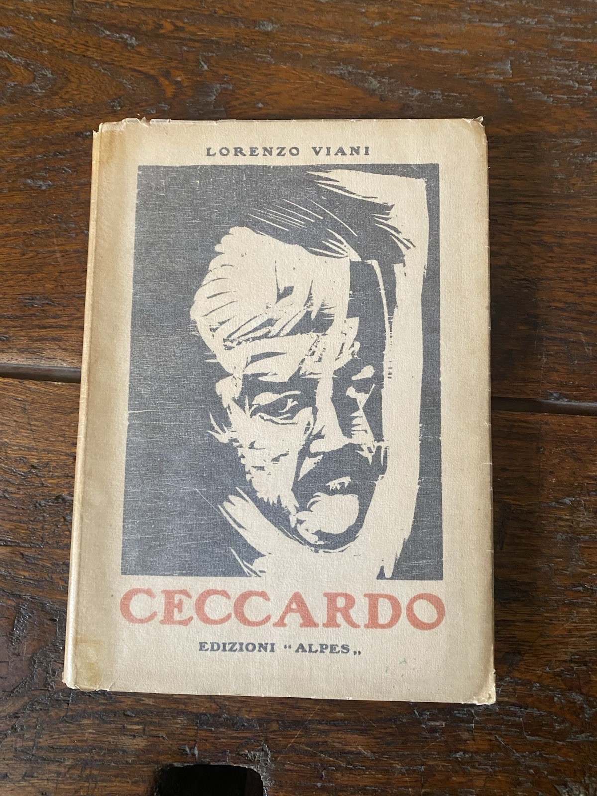 Viani Lorenzo Ceccardo Milano Alpes 1922