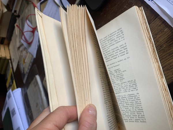 Del dialetto napoletano. In appendice: Francesco Oliva - Grammatica della …